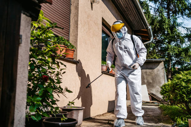 Best Termite Control Services  in South Sioux City, NE